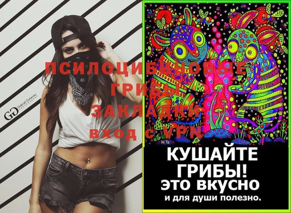 бошки Анжеро-Судженск