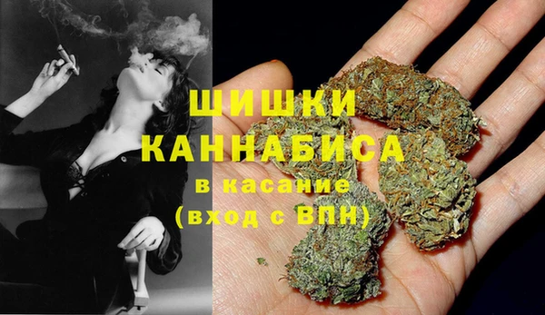 шишки Апатиты