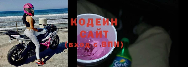 шишки Апатиты