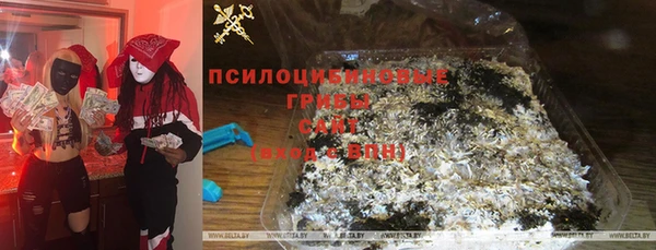бошки Анжеро-Судженск