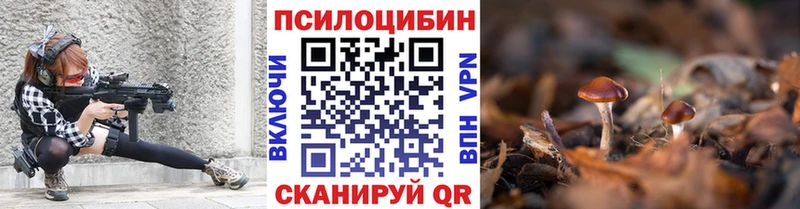 Галлюциногенные грибы мицелий  Купить закладки  Отрадное 